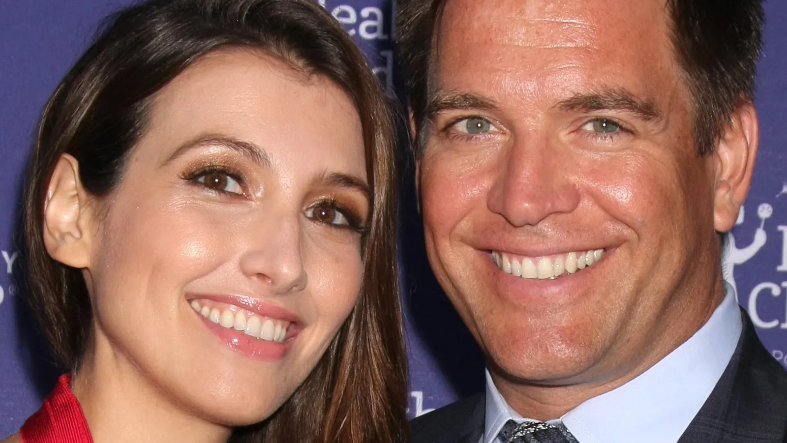 Michael Weatherly and Bojana’s Heartbreaking Journey Confirmed!