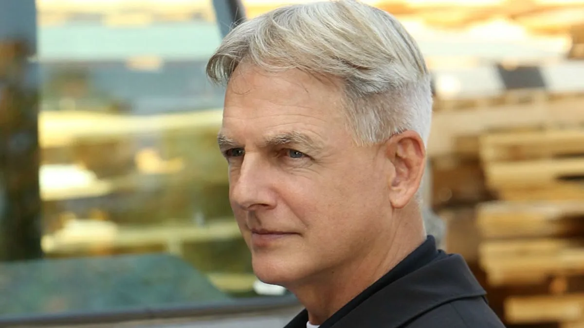 The Harmonious Career of Mark Harmon A Retrospective. CURIOUS JOURNEY